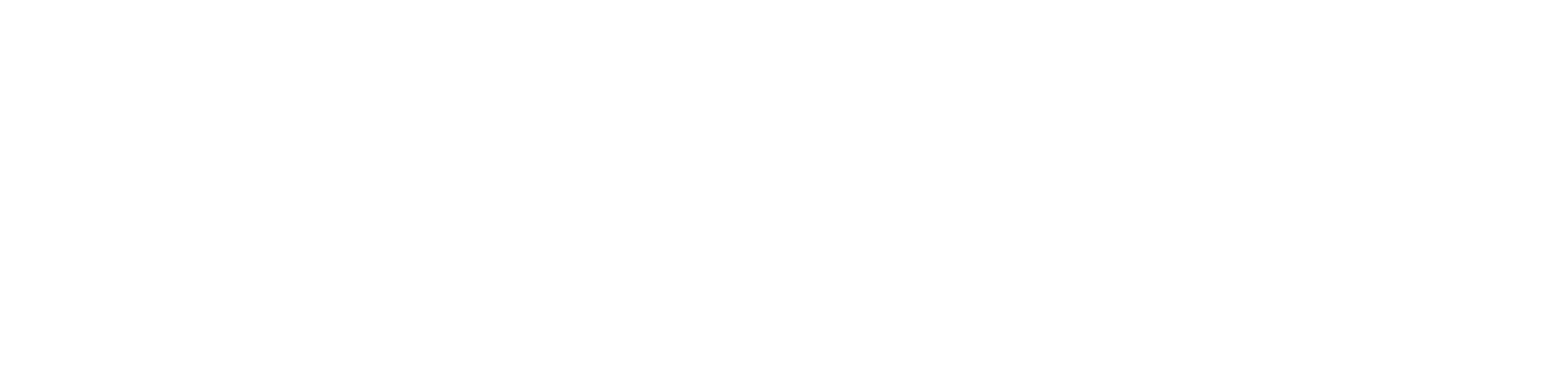 LifeStoryPRO